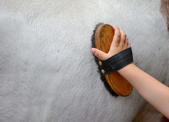 Kind striegelt Pferd