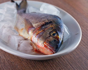 Bream
