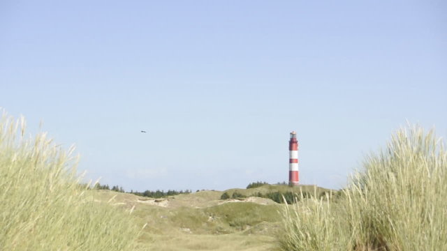 Leuchtturm Amrum mit M&ouml;wen und D&uuml;nen