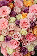 Fototapeta na wymiar Pastel wedding roses