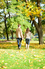 Naklejka na ściany i meble Couple walking in park on a fall day