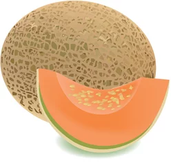 Behangcirkel melone ramato © fiore26