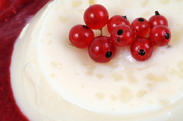 La panacotta aux groseilles