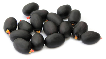 Tropical chestnut over white background