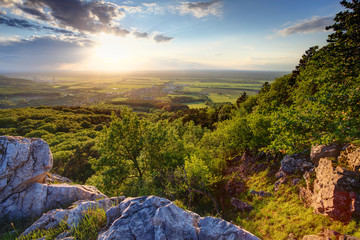 Green forest at sunset - Slovakia