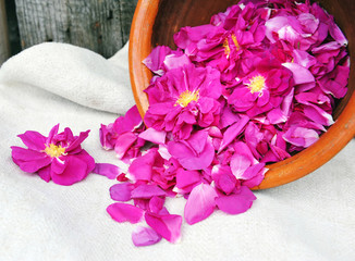 Edible petals of rose for preparing fragrant jam