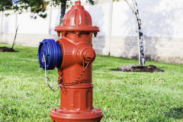 A red fire hydrant with a bright blue cap sitting in a neighborh