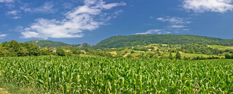 Green agriculture fields panoramic view - Powered by Adobe