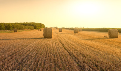 Straw Bales