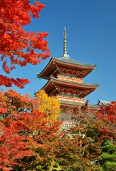 Fotobehang Kiyomizu-dera Pagoda in Kyoto © SeanPavonePhoto