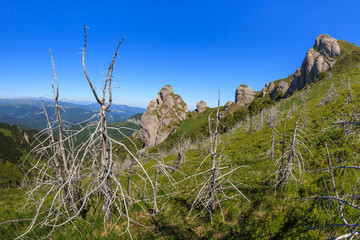 Fototapeta na wymiar The Ciucas Mountains