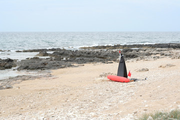 Boa and fins on the beach