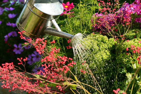 Garten 85