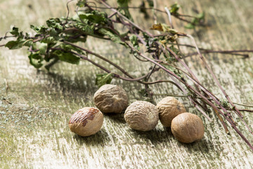Spices and Dried Herbs on old wood background