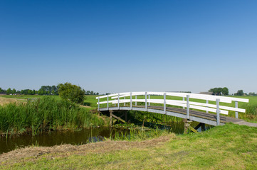 Bridge in landscape