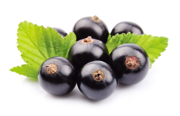 Black currant with leafs on white