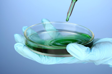 Laboratory pipette with drop of chemical liquid over Petri dish