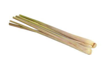 Citronella Grass isolated on white background
