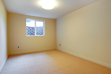 Empty room with beige carpet and small basement window.