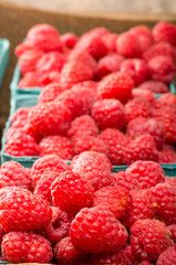 Fresh red raspberries on display at the market