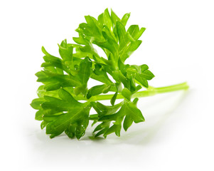 curly parsley