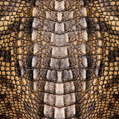Crocodile leather