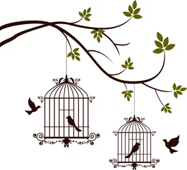 Afwasbaar Fotobehang Vogels in kooien boomsilhouet met vliegende vogels en vogels in een kooi