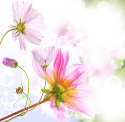 Beautiful flower background