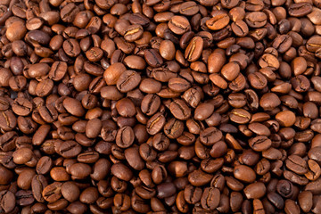 Fototapeta premium coffee beans close up isolated on white