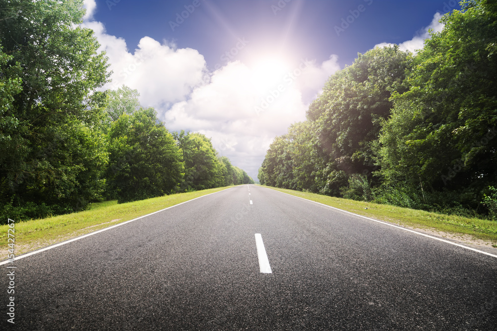 Canvas Prints Asphalt road in green forest.