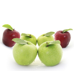  apple