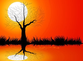 Tree silhouettes nature background