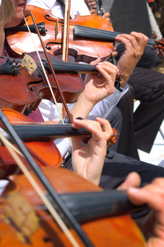 Violin background
