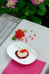 Panna cotta on white plate with berry sauce