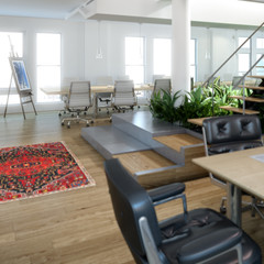 Consulting Office (focus)