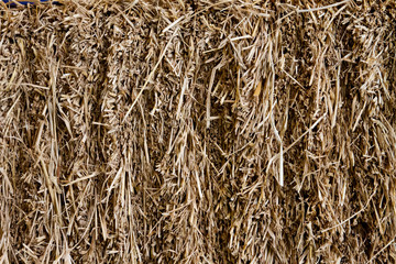 dry hay texture
