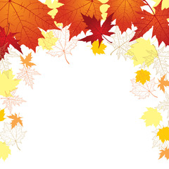 Fototapeta na wymiar Maple leaves background