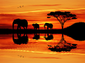 Fototapeta na wymiar Elephant silhouette at sunset