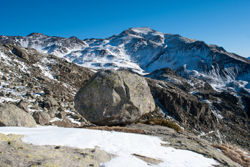 Obraz premium Lonely rock in national park Aiguestortes in Catalonia