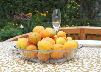Apricots in a bowl on the table.