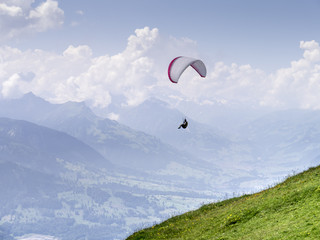 Paraglider