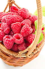 Fresh raspberries