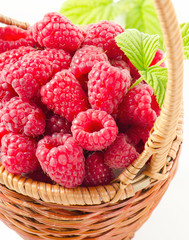Fresh raspberries