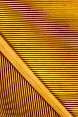 détail graphique d'une plume jaune