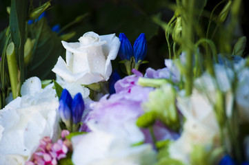 bouquet