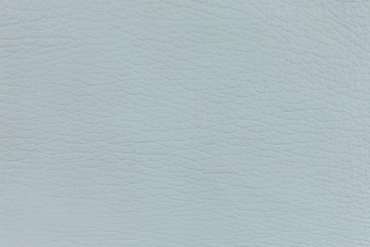 サメ皮
