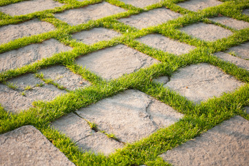 pavimento in giardino