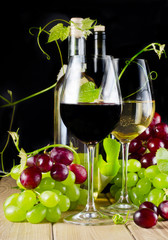  wine with grapes