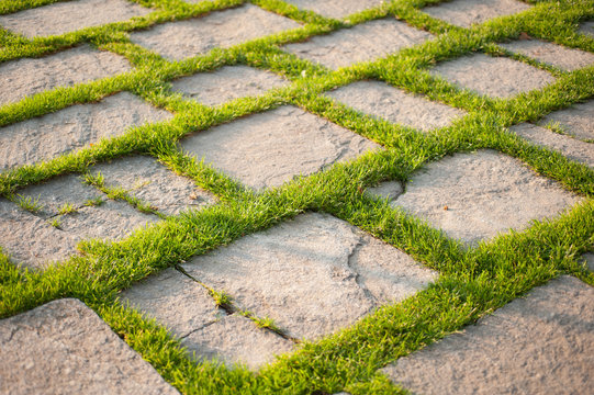pavimento in giardino