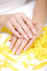 Naklejka premium beautiful hands on the white towel